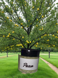 Pear Body and Hair Moisturizer